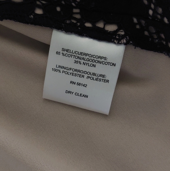 London Times Women's Plus Size (16W) Flower Bloom Lace Fit and Flare Dress - Picture 11 of 15